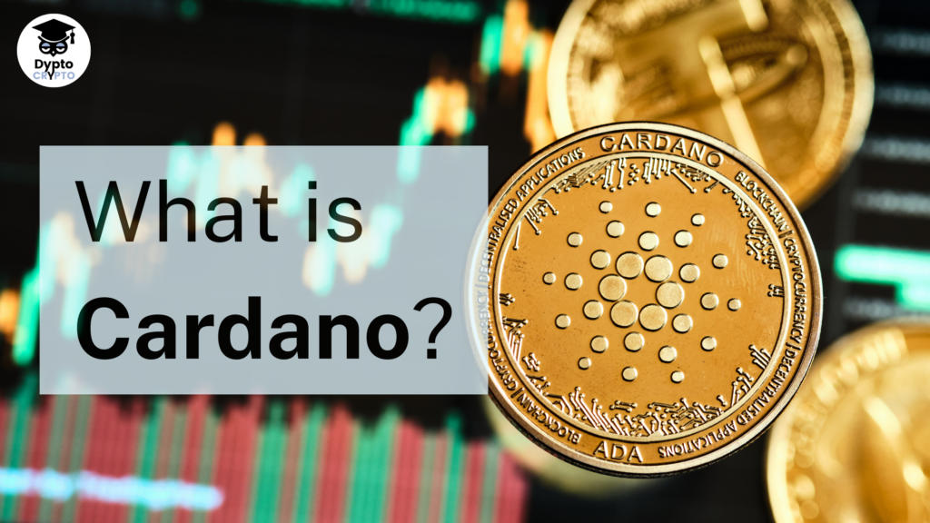 What is cardano