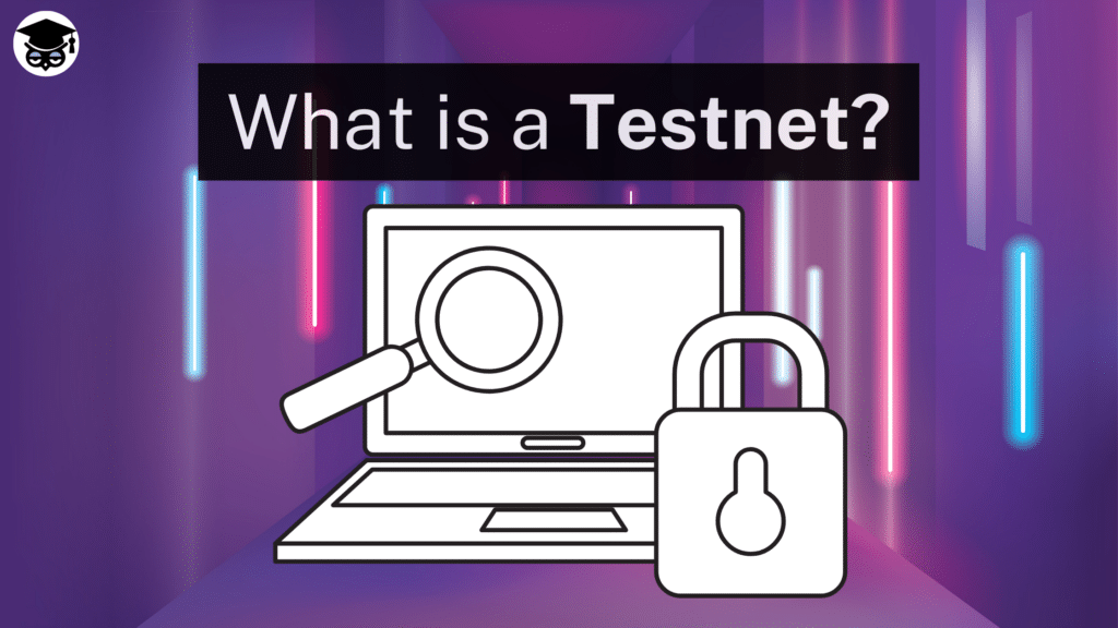 What is a testnet
