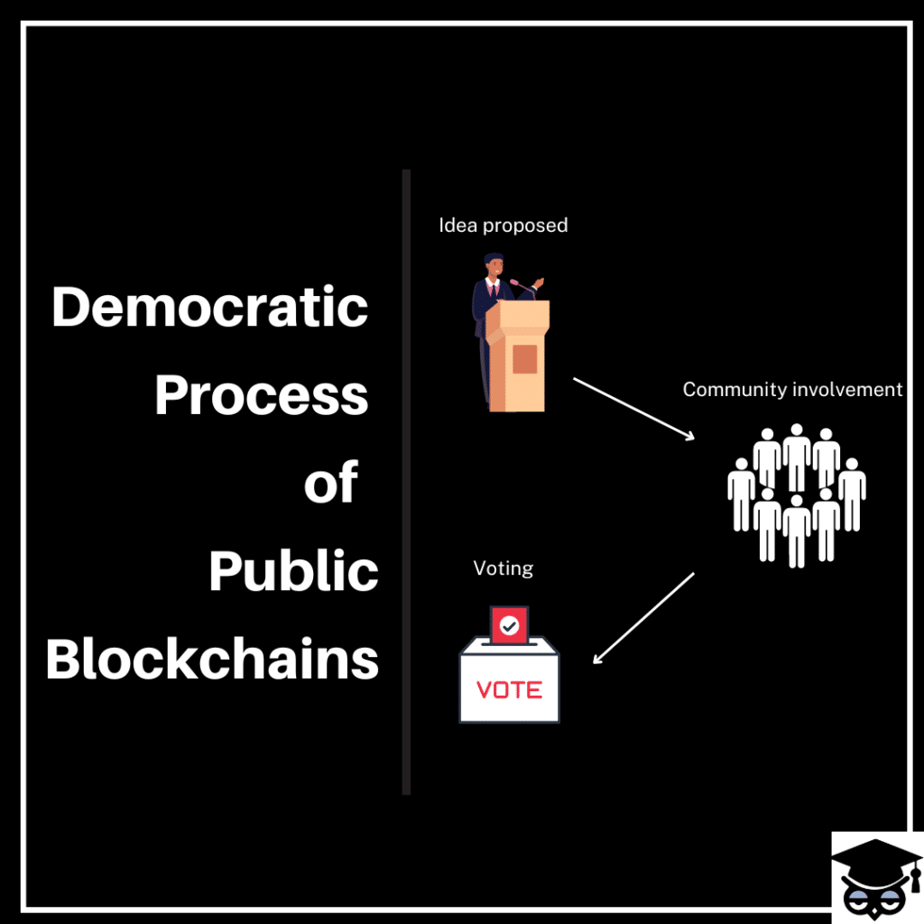 democratic process of public blockchains